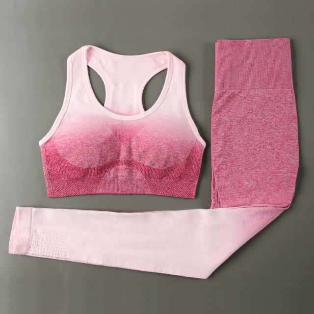 Conjunto de Fitness- Svokor