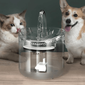 Bebedouro Automático Para Animais de Estimação (2L)