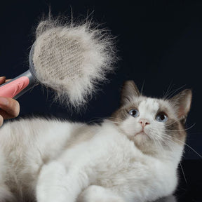 Escova Removedora de Pelos Pakeway Para Cães e Gatos